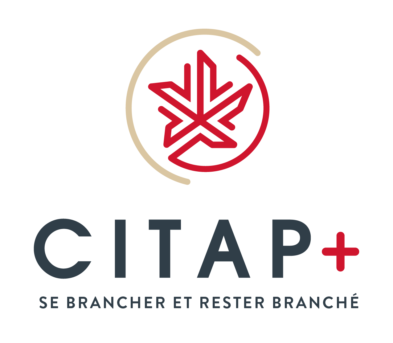 Logo CITAP